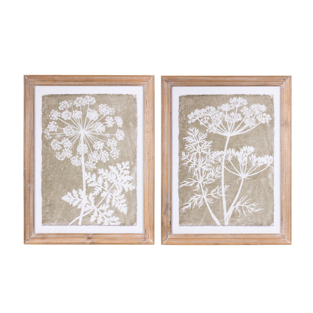 Framed Queen Anne's Lace and Fern Wall Art (Set of 2)