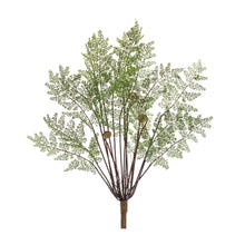 Load image into Gallery viewer, Fern Bush (Set of 2)
