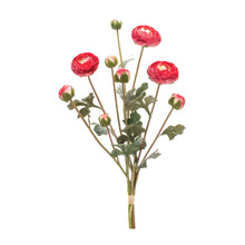 Load image into Gallery viewer, Ranunculus Bundle (Set of 2)
