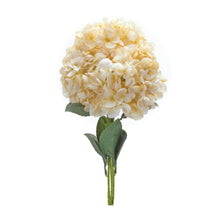 Load image into Gallery viewer, Hydrangea Bush (Set of 2)
