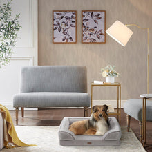 Load image into Gallery viewer, Martha Stewart Bella Allover Fls066-17 Pet Couch MS63PC5358M By Olliix
