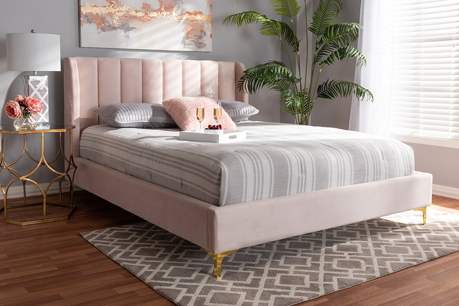 Baxton Studio Saverio Glam and Luxe Light Pink Velvet Fabric Upholstered Queen Size Platform Bed with Gold-Tone Legs