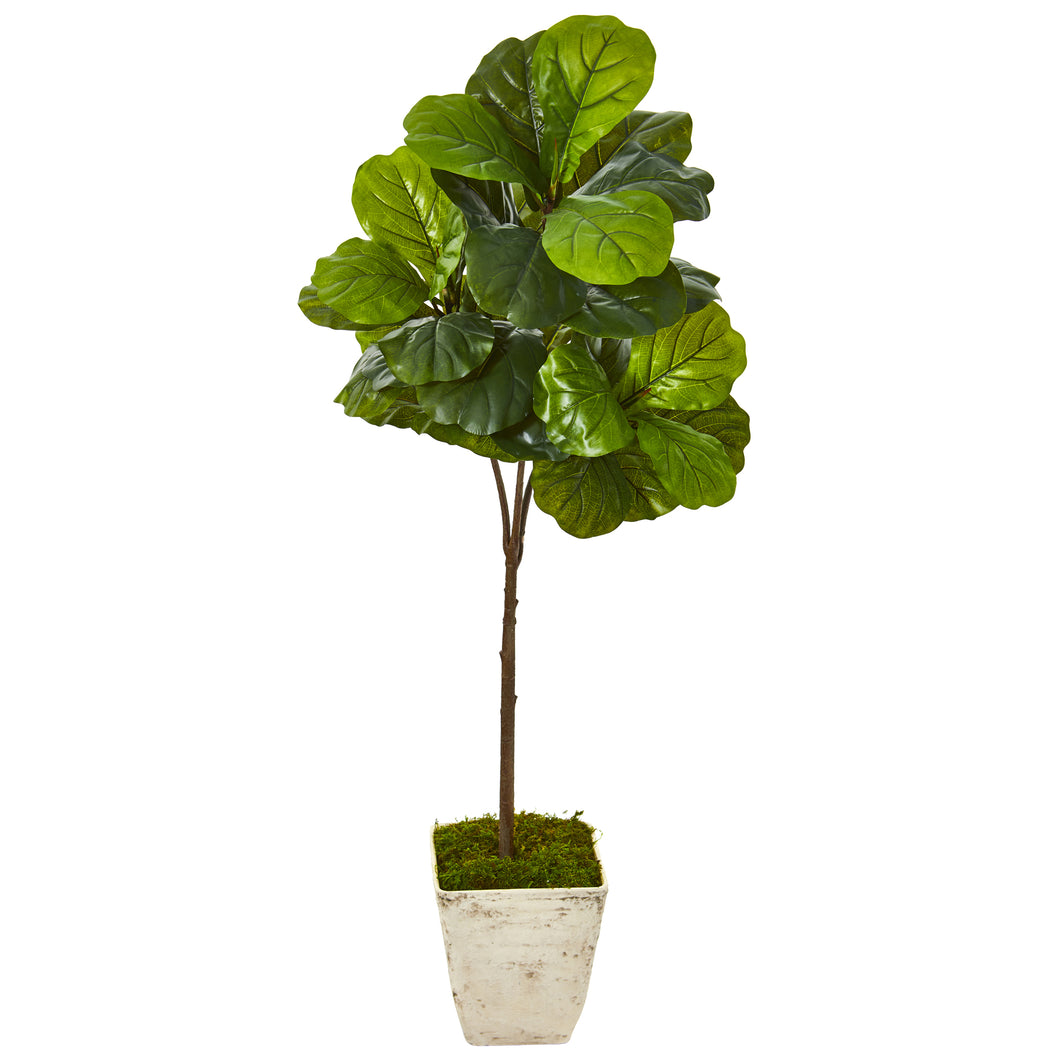 5'Fiddle Leaf Artificial Tree in Country White Planter (Real Touch)