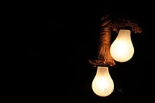 Load image into Gallery viewer, Rope Pendant Lamp - Two Bulbs
