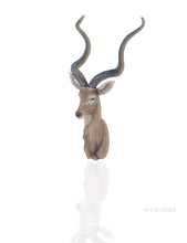 Load image into Gallery viewer, Anne Home - Antelope Head Wall Decorative
