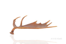Load image into Gallery viewer, Anne Home - Deer Antler Tray
