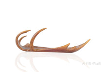 Load image into Gallery viewer, Anne Home - Deer Antler Tray
