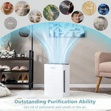Load image into Gallery viewer, H13 True HEPA Air Purifier with Adjustable Wind Speeds
