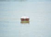 Load image into Gallery viewer, Riva Aquarama Painted With RC Motor
