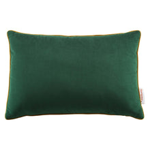 Load image into Gallery viewer, Accentuate 18&quot; Lumbar Performance Velvet Throw Pillow
