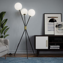 Load image into Gallery viewer, Vera 3-Light Floor Lamp
