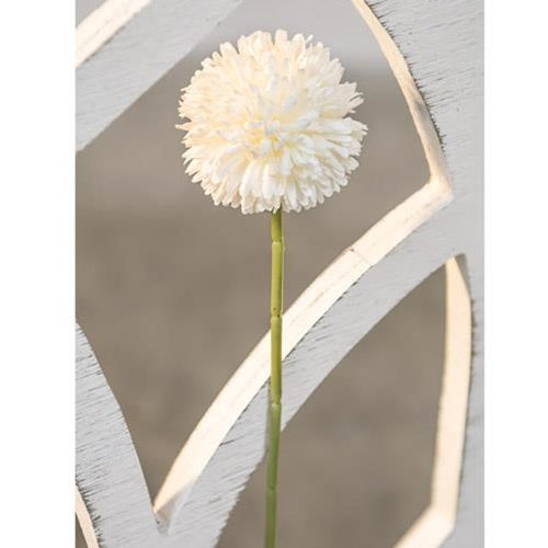 Pompom Stem White (Pack of 4)