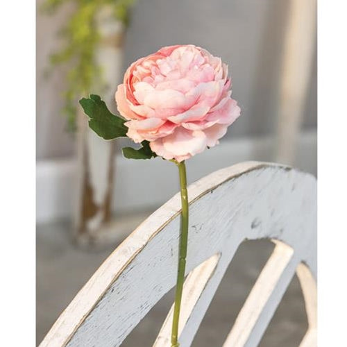 Peony Stem Blush (Pack of 4)