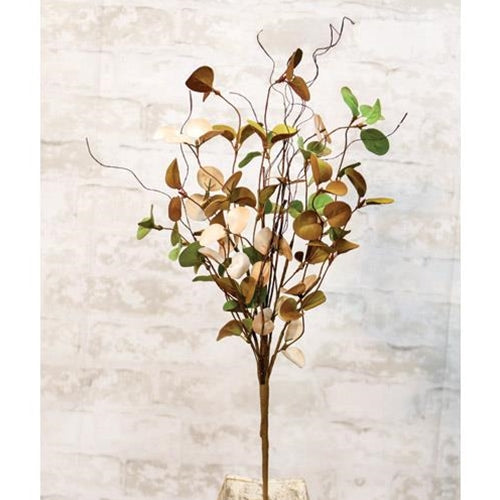 Antique Eucalyptus Spray (Pack of 2)