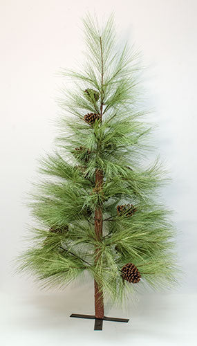 Long Needle Pine Tree 5 ft.