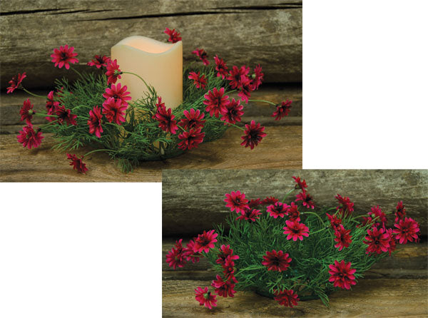 Pink Star Daisy Ring (Pack of 4)