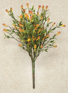 Bean Leaf Bush (Pack of 4)