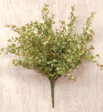 Baby's Grass Spray 14