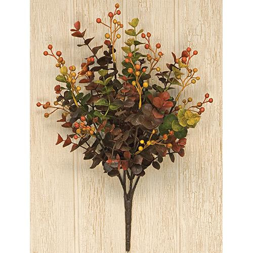 Eucalyptus Berry Bush - 13