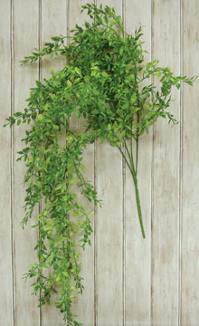 Lemon Beauty Hanging Bush (Pack of 2)