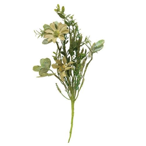 Rustic White Daisy Pick 12