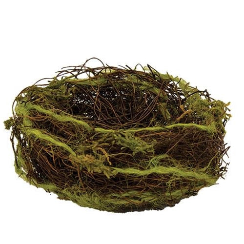 Mossy Bird Nest 5