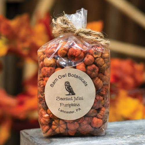 Scented Mini Pumpkins 3 Cups (Pack of 4)