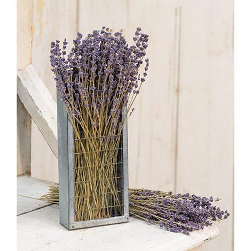 Dried Lavender Bunch 13