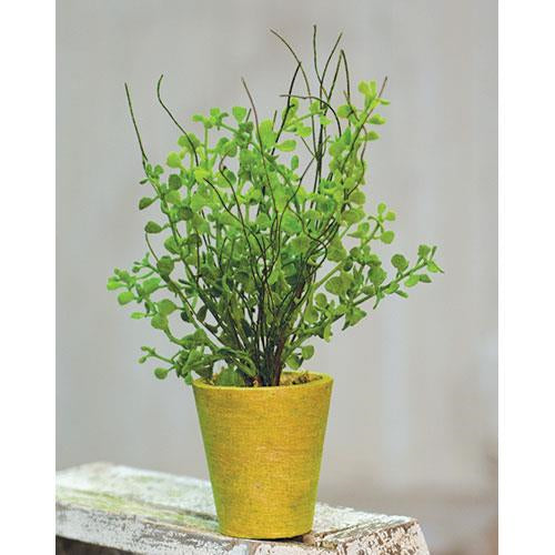Potted Fern (Pack of 4)