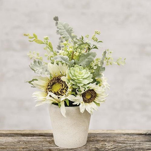 Sunwashed Succulent In Pot 10