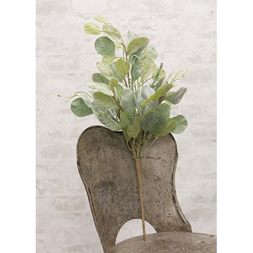 Summer Splendor Bush 21