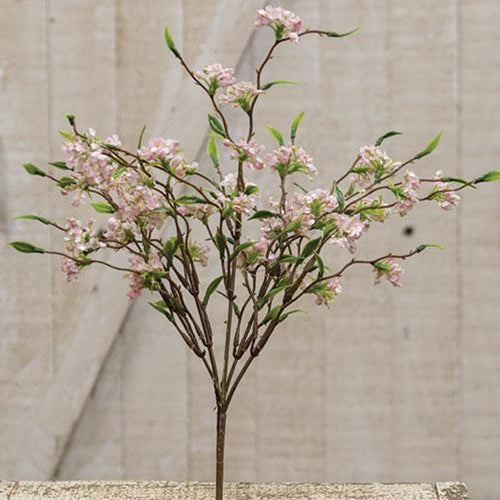 Bliss Buds Bush Light Pink 13