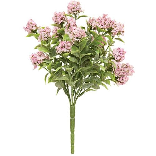 Late Bloomer Bush Pink (Pack of 2)