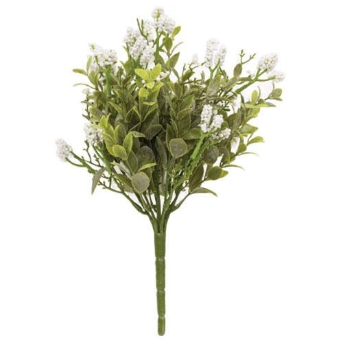 Luxberry Bush (Pack of 4)