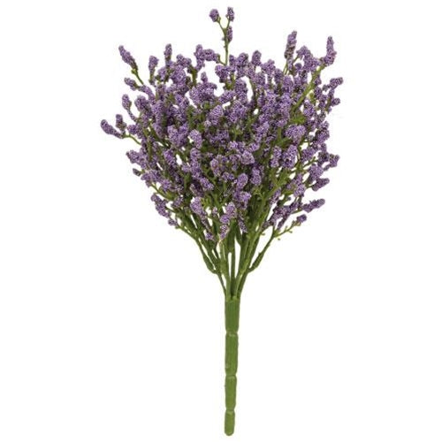 Array Astilbe Bush Purple (Pack of 4)