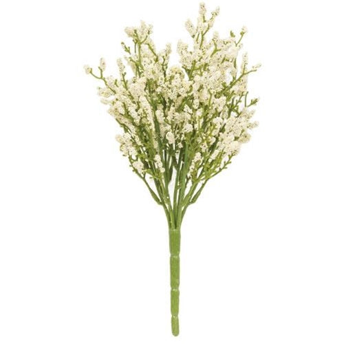 Array Astilbe Bush Cream (Pack of 4)