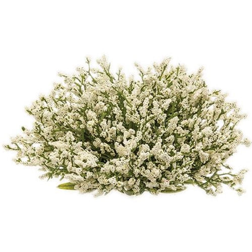 Array Astilbe Half Sphere Cream (Pack of 2)