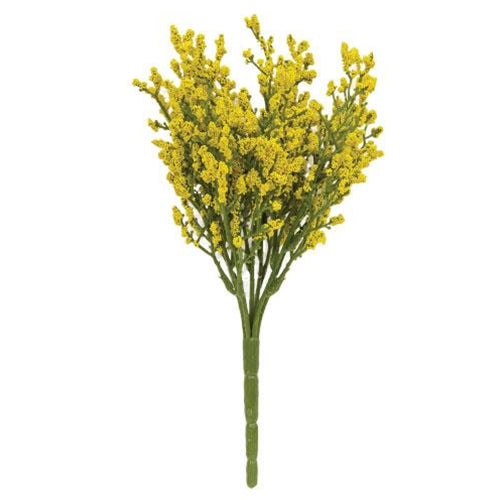 Array Astilbe Bush Yellow (Pack of 4)