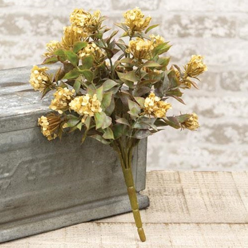 Late Bloomer Bush 11