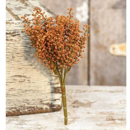 Bursting Astilbe Bush 10.5