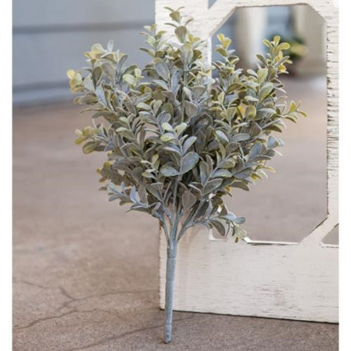 Pebble Eucalyptus Bush 14