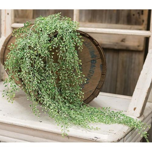 Little Luna Leaves Hanging Bush 34