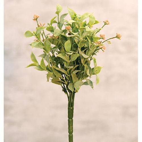 Happy Harmony Bush 11