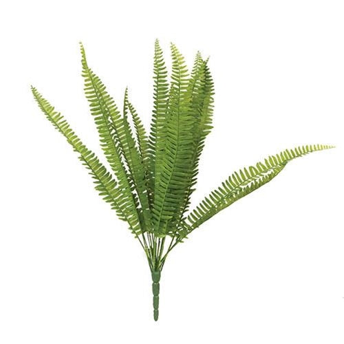Kimberly Stand Up Fern Bush 22