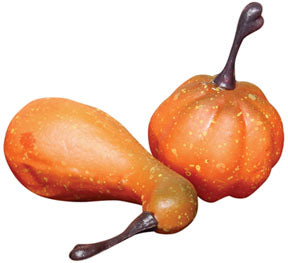 Mini Pumpkin Bowl Filler (Pack of 4)