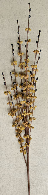 Curly Q Berry Spray - 24