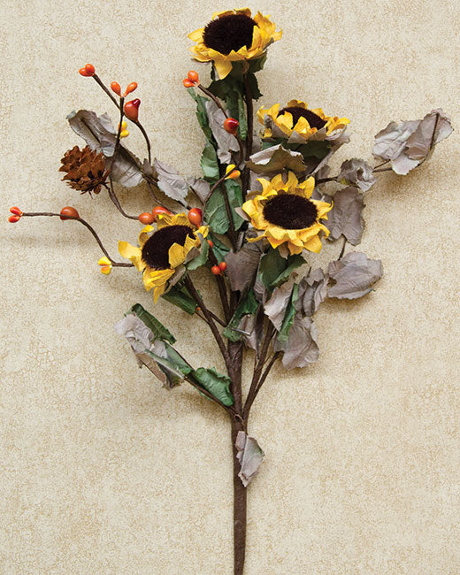 Dried Sunflower Pick (Pack of 4)