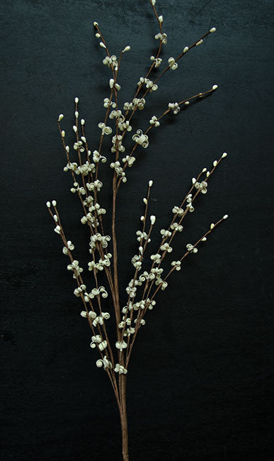 Curly Q Berry Spray 30