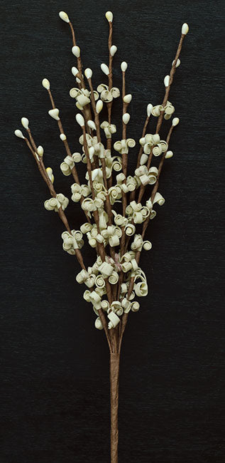 Curly Q Pick - Cream  (Pack of 4)