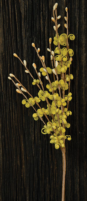 Curly Q Pick - Yellow   (Pack of 4)